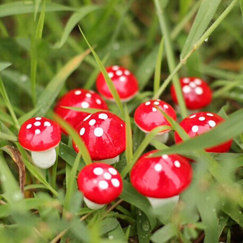 Mushroom Garden Ornaments Red Color (10Pcs) Mushroom Garden Ornaments Red Color (10Pcs)