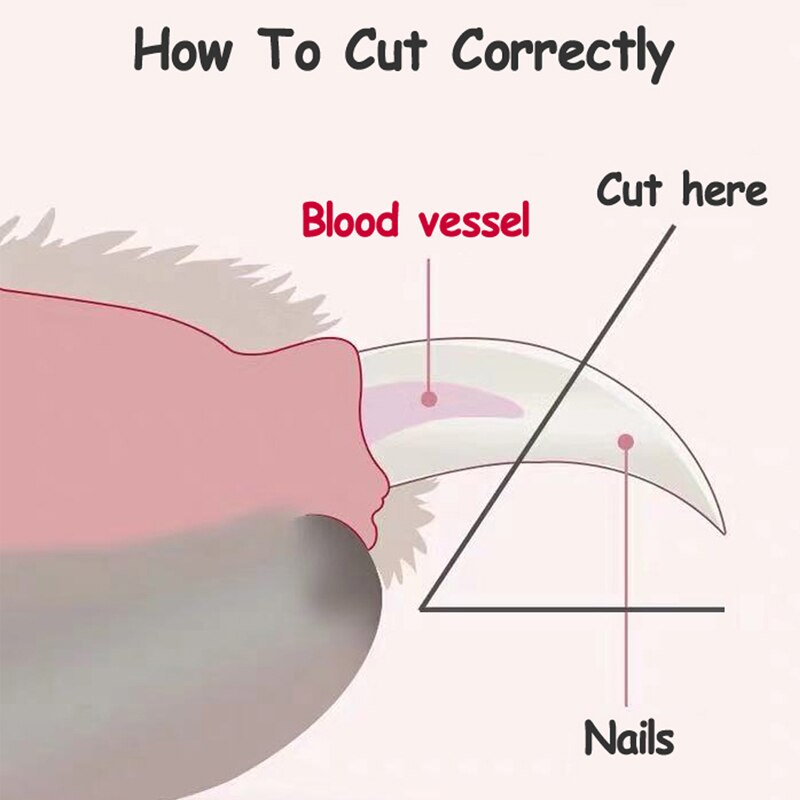 Nail Clipper For Pets Grooming Tool Nail Clipper For Pets Grooming Tool