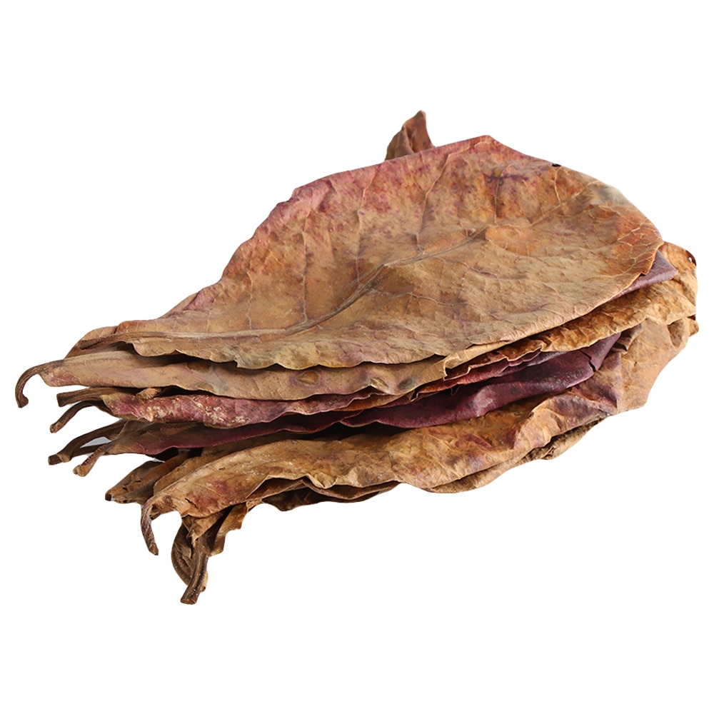 Natural Almond Leaves for Aquarium (500pcs) Natural Almond Leaves for Aquarium (500pcs)