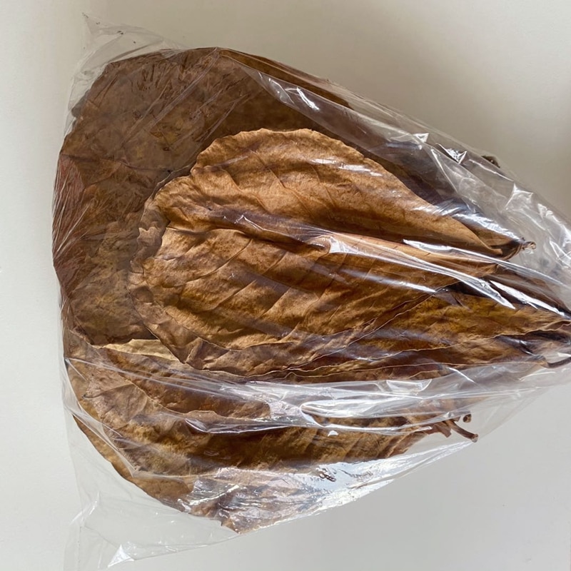 Natural Almond Leaves for Aquarium (500pcs) Natural Almond Leaves for Aquarium (500pcs)