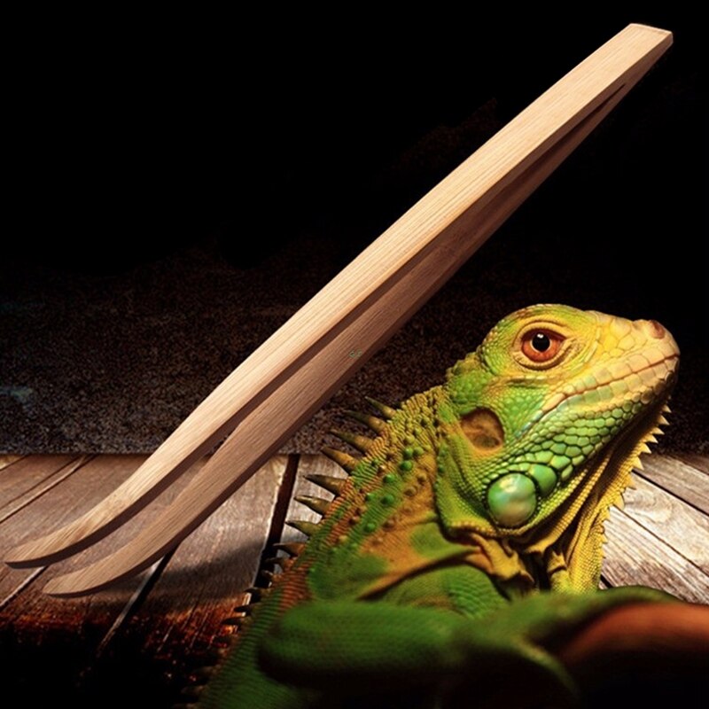 Natural Bamboo Reptile Feeding Tweezers