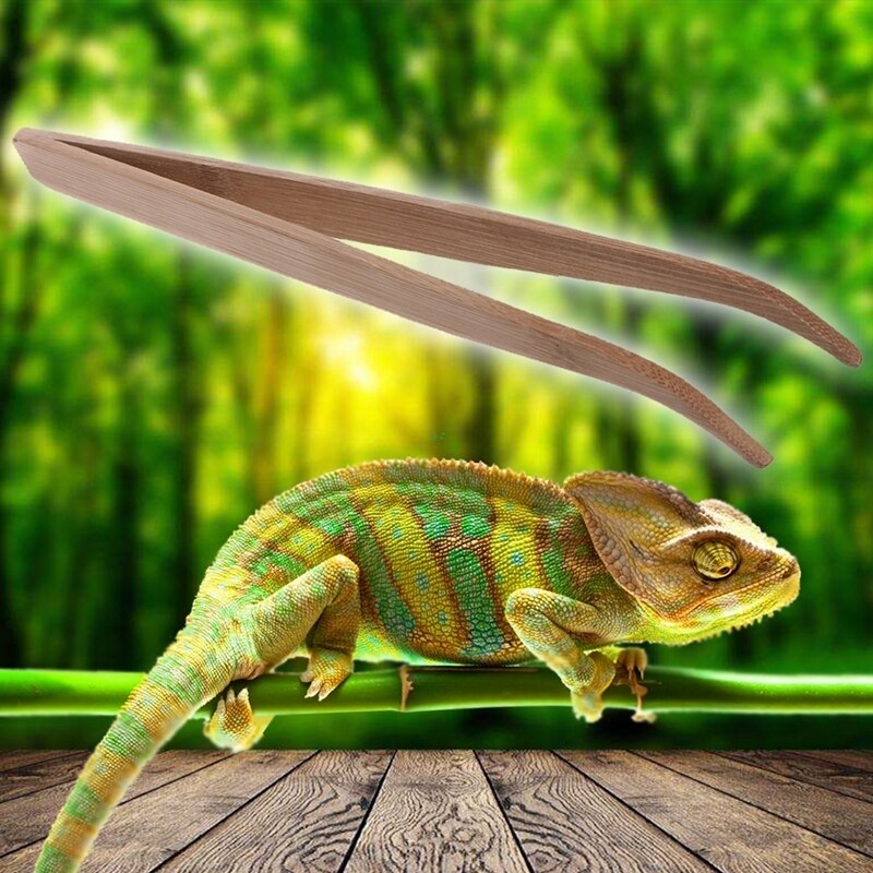 Natural Bamboo Reptile Feeding Tweezers