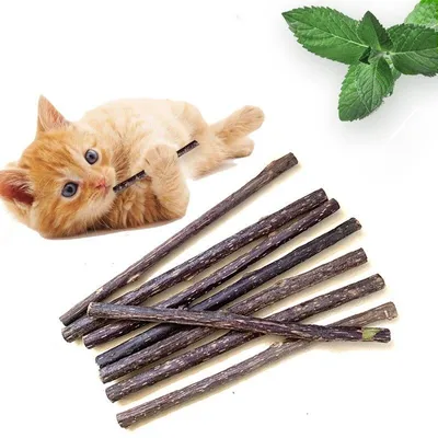 Natural Cat Dental Chew Sticks (20 pcs)