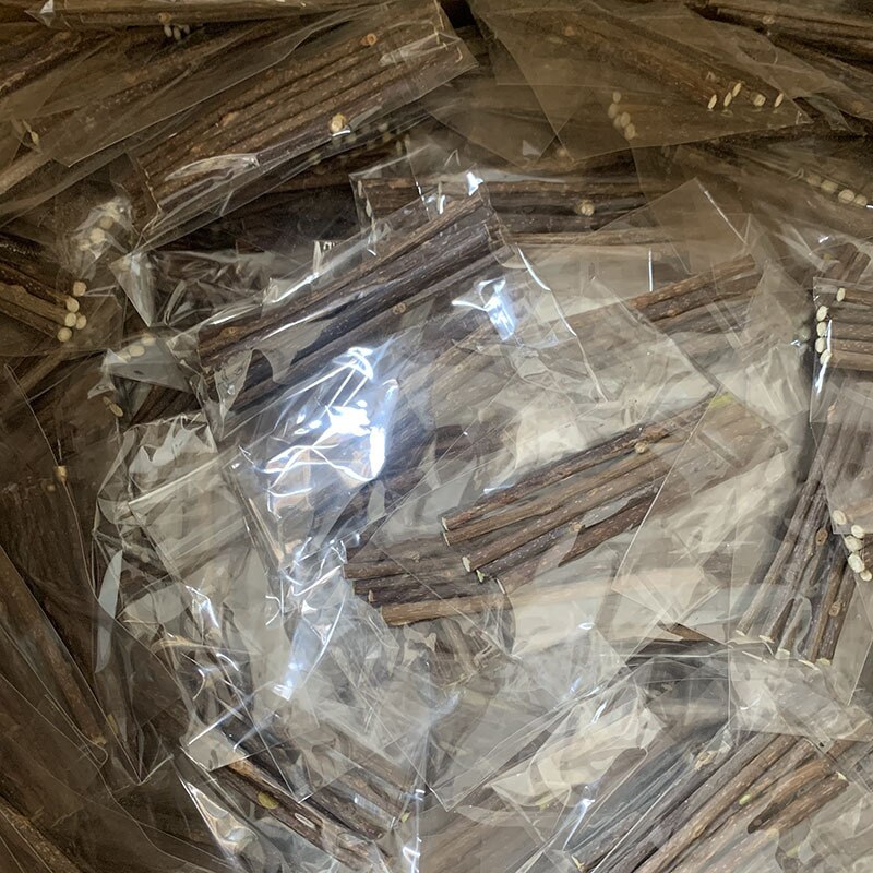 Natural Cat Dental Chew Sticks (20 pcs)