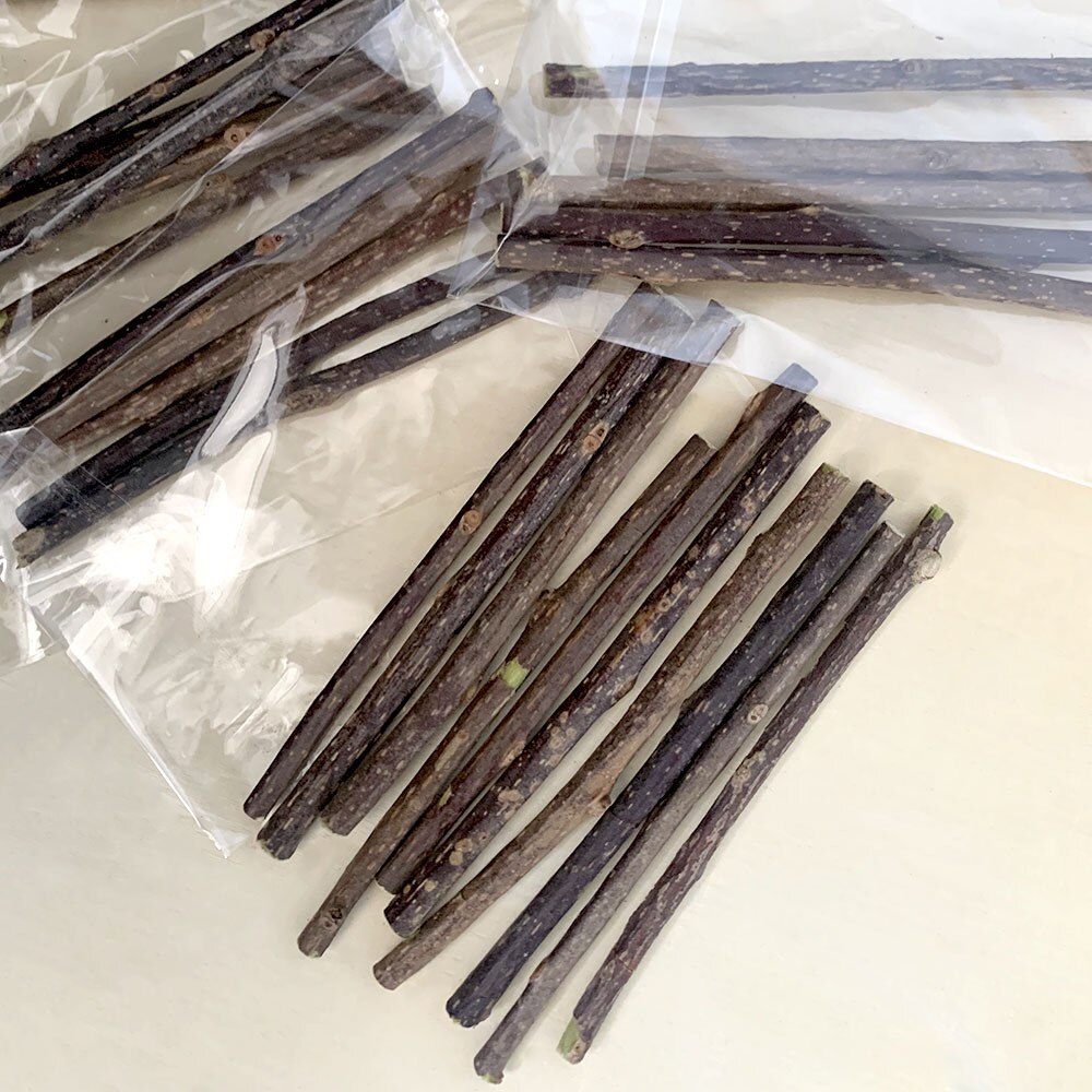 Natural Cat Dental Chew Sticks (20 pcs)