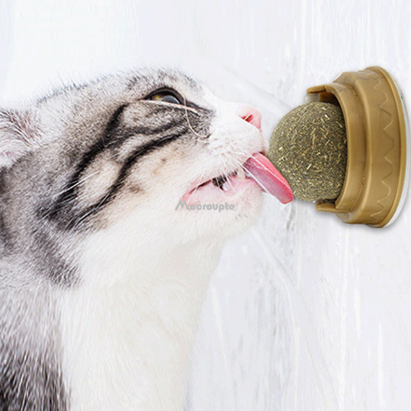 Natural Catnip Cat Wall Stick On Ball Toy Treats Healthy Natural Removes Hair Balls to Promote Digestion Cat Grass Natural Catnip Cat Wall Stick On Ball Toy Treats Healthy Natural Removes Hair Balls to Promote Digestion Cat Grass