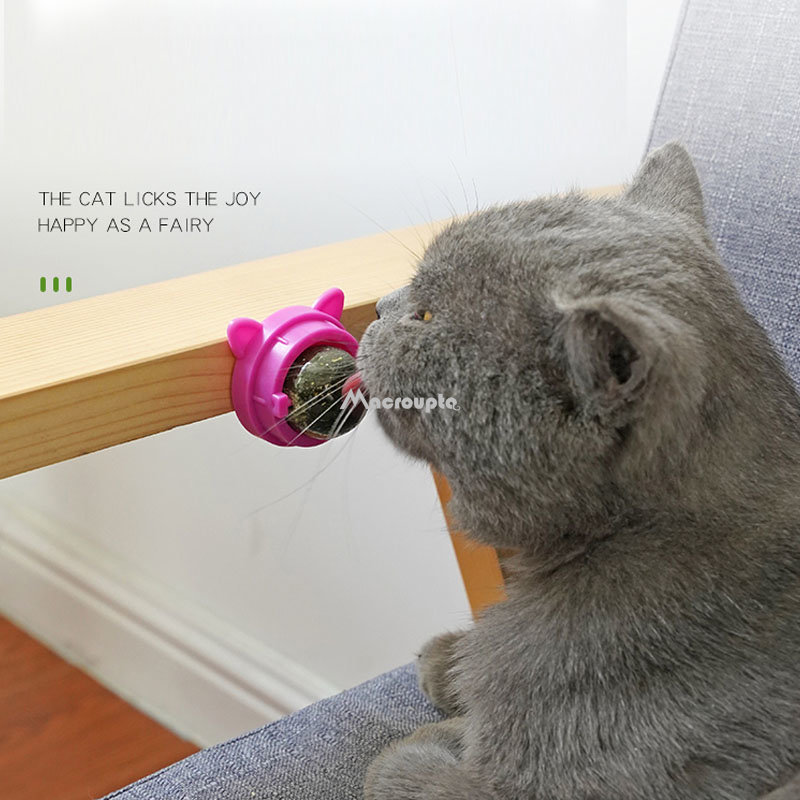 Natural Catnip Cat Wall Stick On Ball Toy Treats Healthy Natural Removes Hair Balls to Promote Digestion Cat Grass