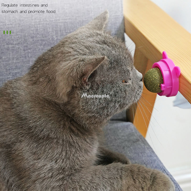 Natural Catnip Cat Wall Stick On Ball Toy Treats Healthy Natural Removes Hair Balls to Promote Digestion Cat Grass