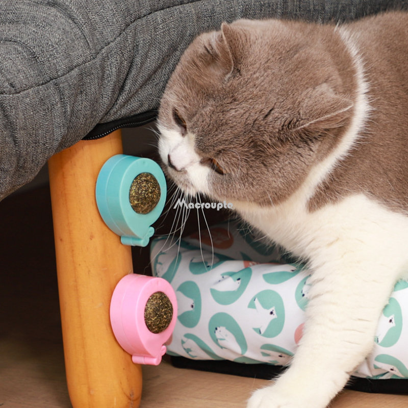 Natural Catnip Cat Wall Stick On Ball Toy Treats Healthy Natural Removes Hair Balls to Promote Digestion Cat Grass