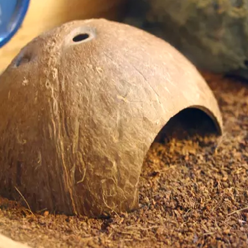Natural Coconut Cave for Pet Reptiles Natural Coconut Cave for Pet Reptiles