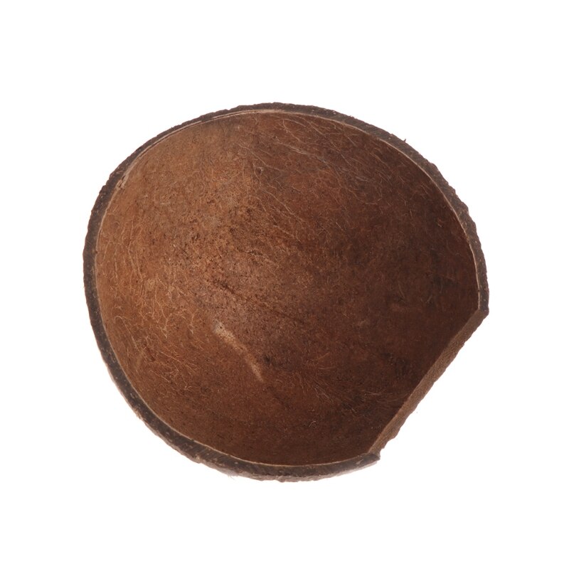 Natural Coconut Cave for Pet Reptiles Natural Coconut Cave for Pet Reptiles