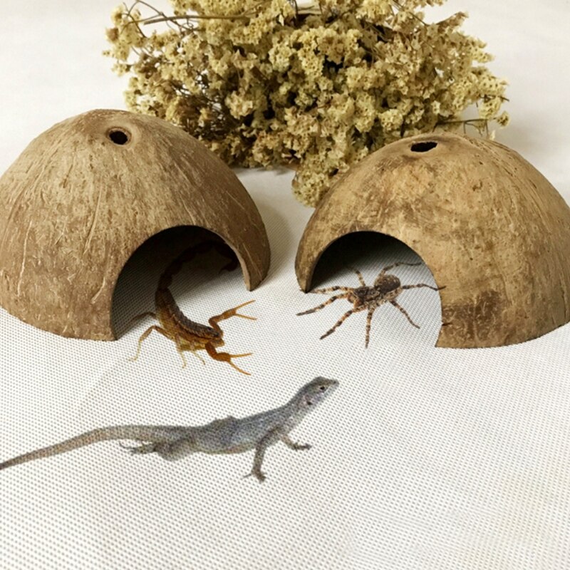 Natural Coconut Cave for Pet Reptiles Natural Coconut Cave for Pet Reptiles