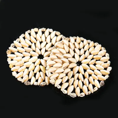 Natural Conch Seashell Coaster Natural Conch Seashell Coaster