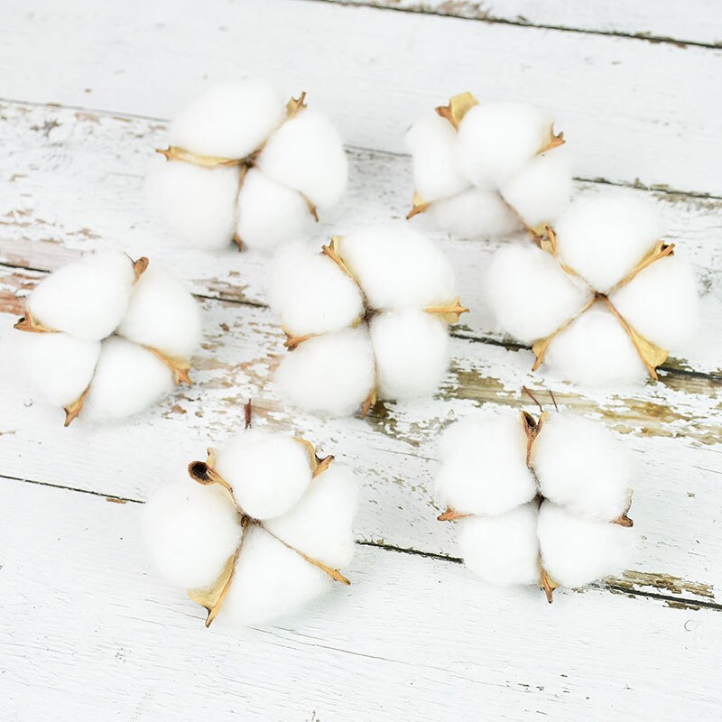 Natural Dried Cotton Flowers (10 pcs) Natural Dried Cotton Flowers (10 pcs)