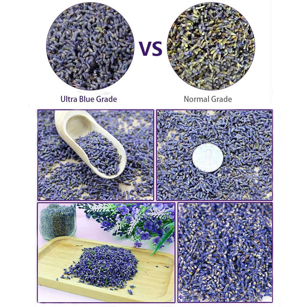 Natural Dried Lavenders Flowers (20g)