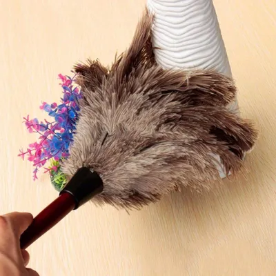 Natural Feather Ostrich Duster