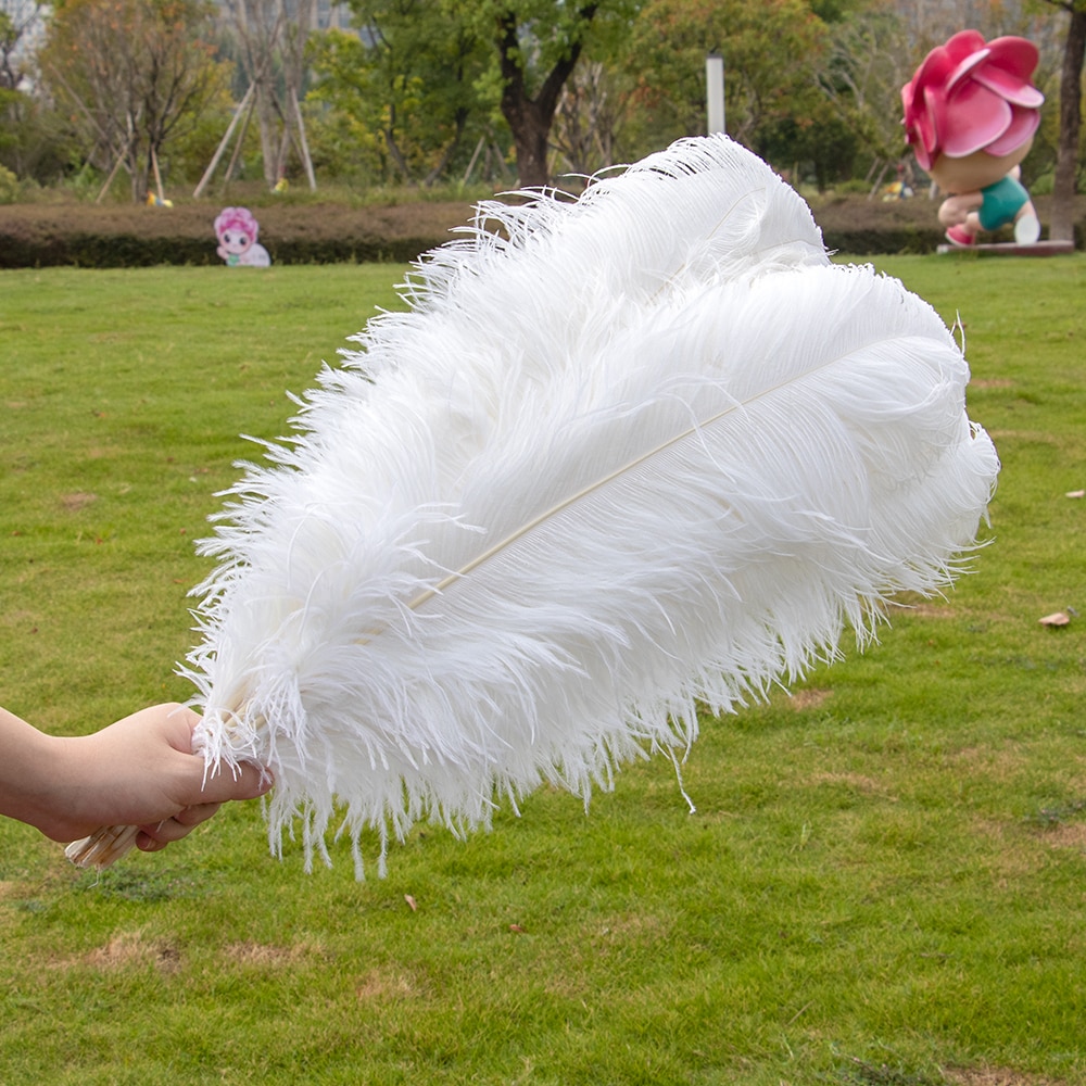 Natural Ostrich Feathers Decor (10 Pcs) Natural Ostrich Feathers Decor (10 Pcs)