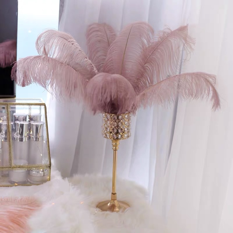 Natural Ostrich Feathers Decor (10 Pcs)