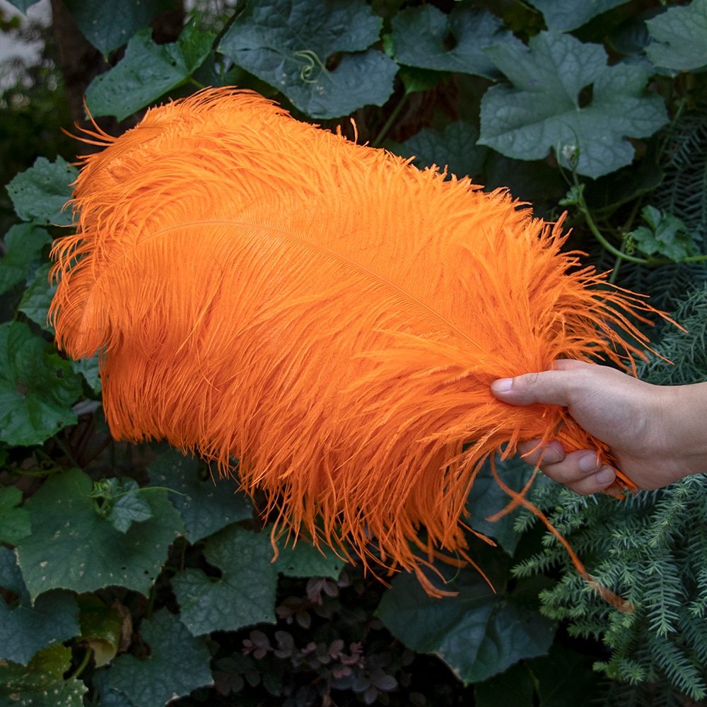 Natural Ostrich Feathers Decor (10 Pcs)
