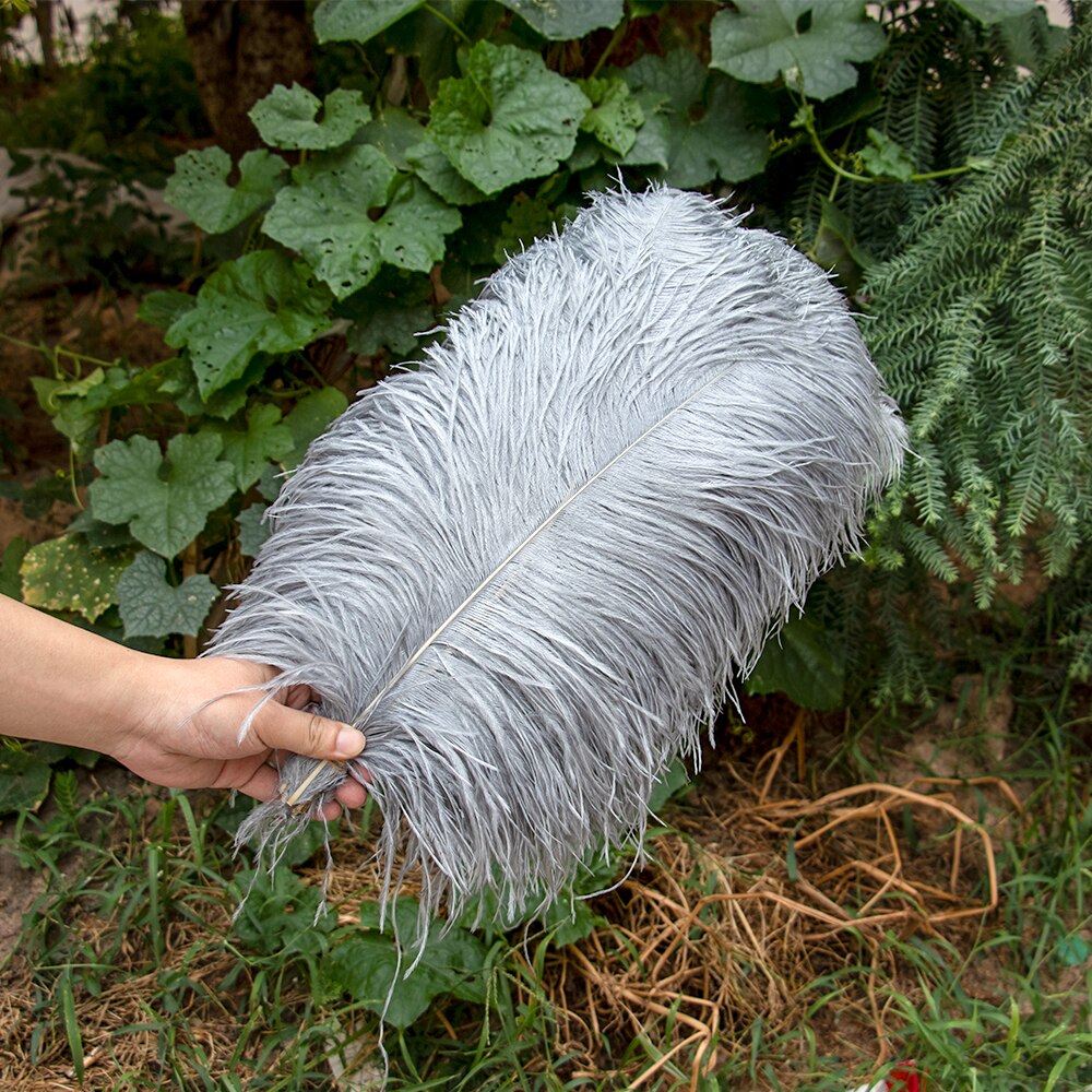 Natural Ostrich Feathers Decor (10 Pcs)