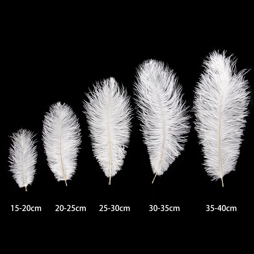 Natural Ostrich Feathers Decor (10 Pcs)