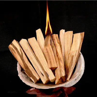 Natural Palo Santo Wood Sticks (5 pcs)