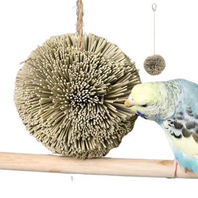 Natural Parrot Grass Ball Hanging Chewing Toy Chew Shred Foraging Bird Cage Accessories For Parakeet Parrotlet Lovebird Natural Parrot Grass Ball Hanging Chewing Toy Chew Shred Foraging Bird Cage Accessories For Parakeet Parrotlet Lovebird