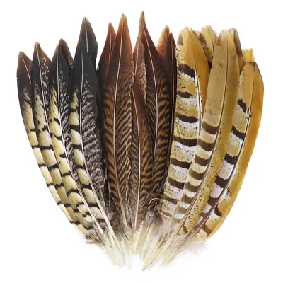 Natural Pheasant Feathers Set (10pcs)