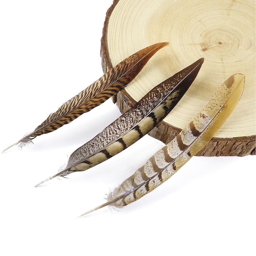Natural Pheasant Feathers Set (10pcs)