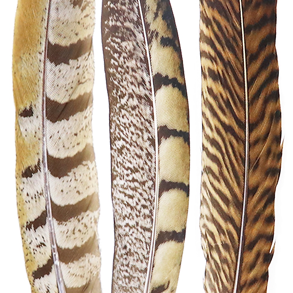 Natural Pheasant Feathers Set (10pcs)