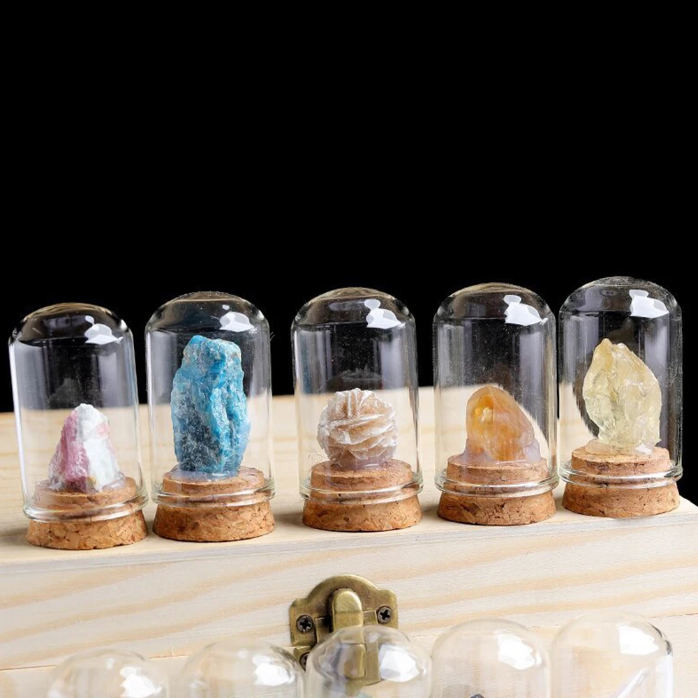 Natural Raw Stone Crystal Mineral Glass Display Jar Specimen Collections Children Popular Science Teaching Tool Gift