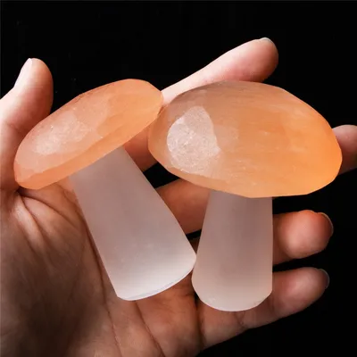 Natural Selenite Crystal Mushroom