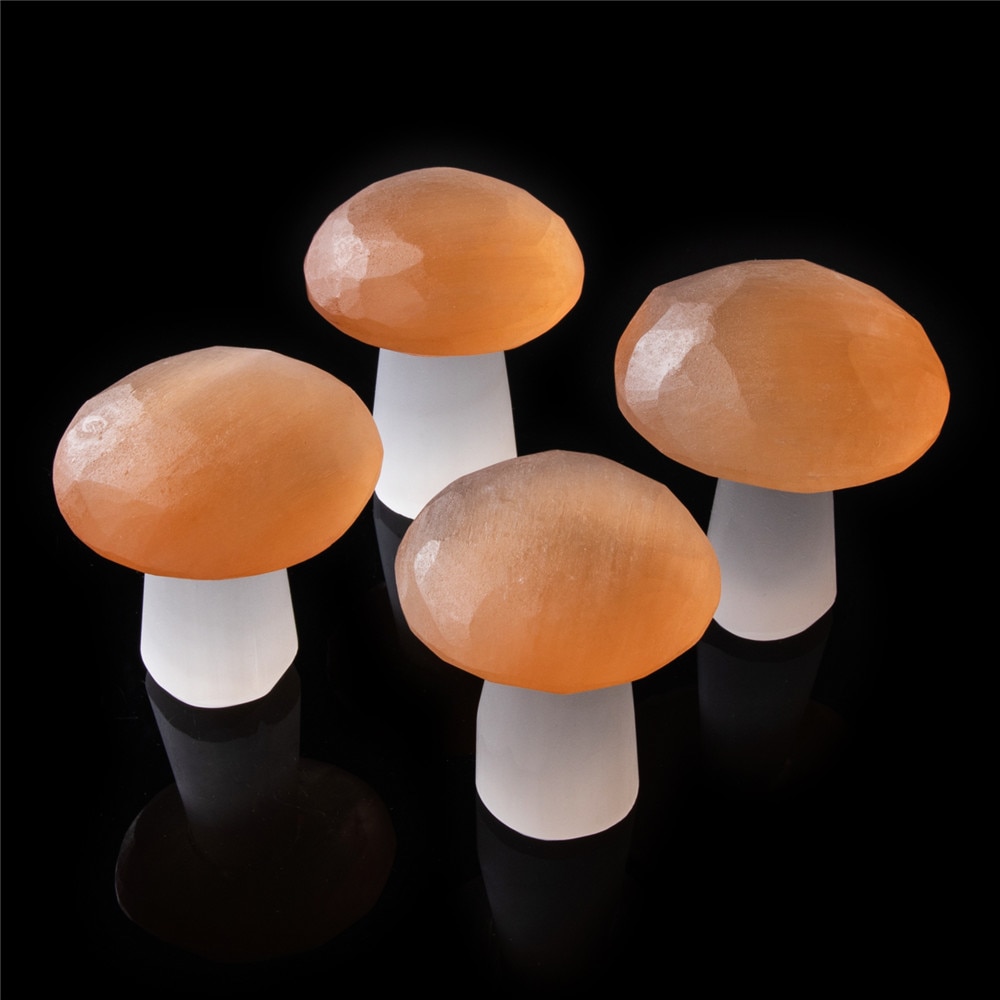 Natural Selenite Crystal Mushroom
