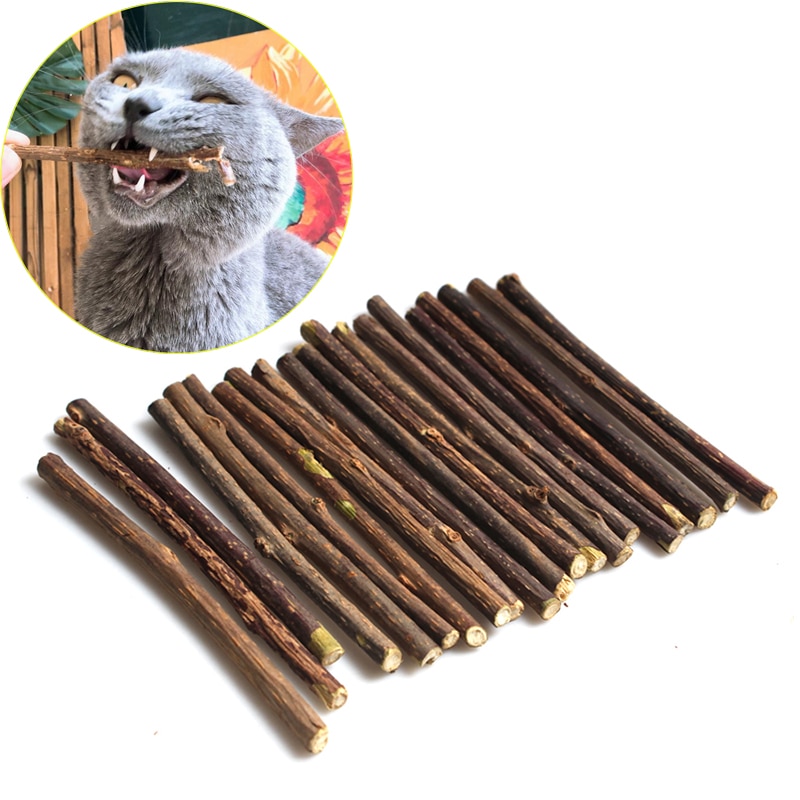 Natural Wood Cat Dental Sticks (20 pcs) Natural Wood Cat Dental Sticks (20 pcs)