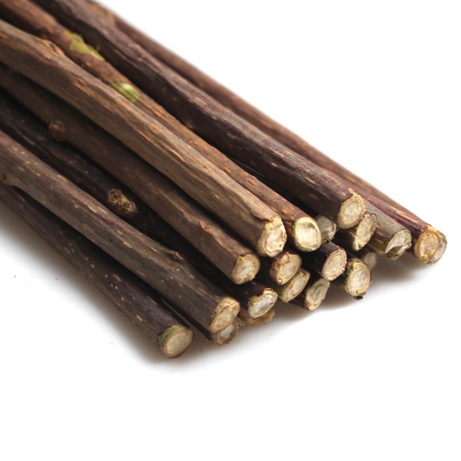 Natural Wood Cat Dental Sticks (20 pcs)