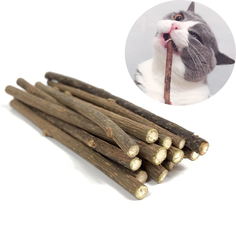 Natural Wood Cat Dental Sticks (20 pcs)