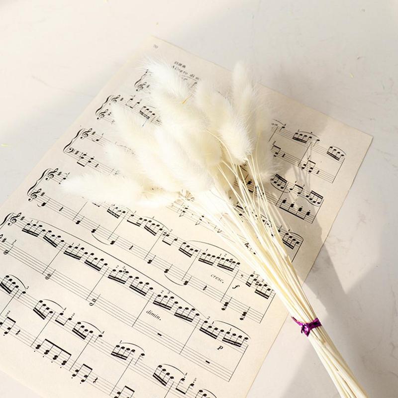 Naturally Dried Bunny Tails (30 pcs)