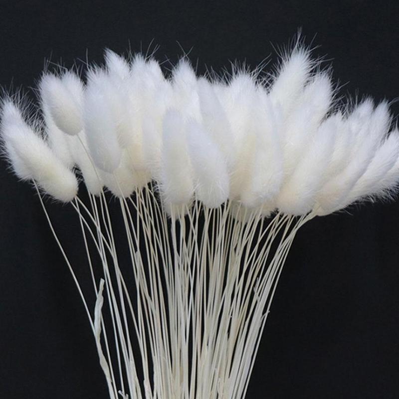 Naturally Dried Bunny Tails (30 pcs)