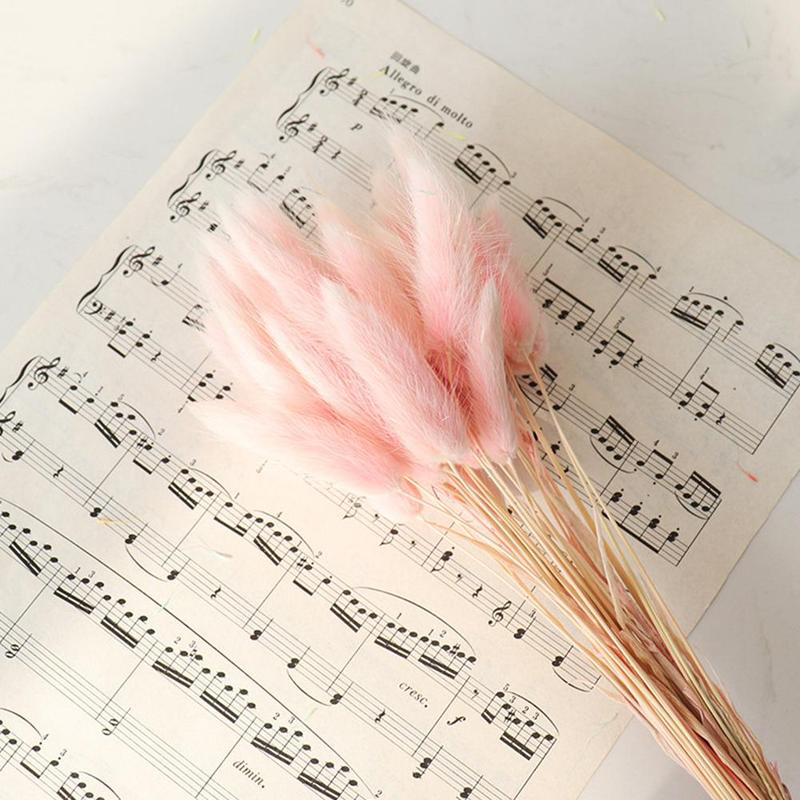 Naturally Dried Bunny Tails (30 pcs)