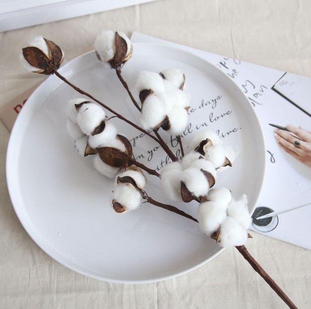 Naturally Dried Cotton Stem Home Ornament Naturally Dried Cotton Stem Home Ornament