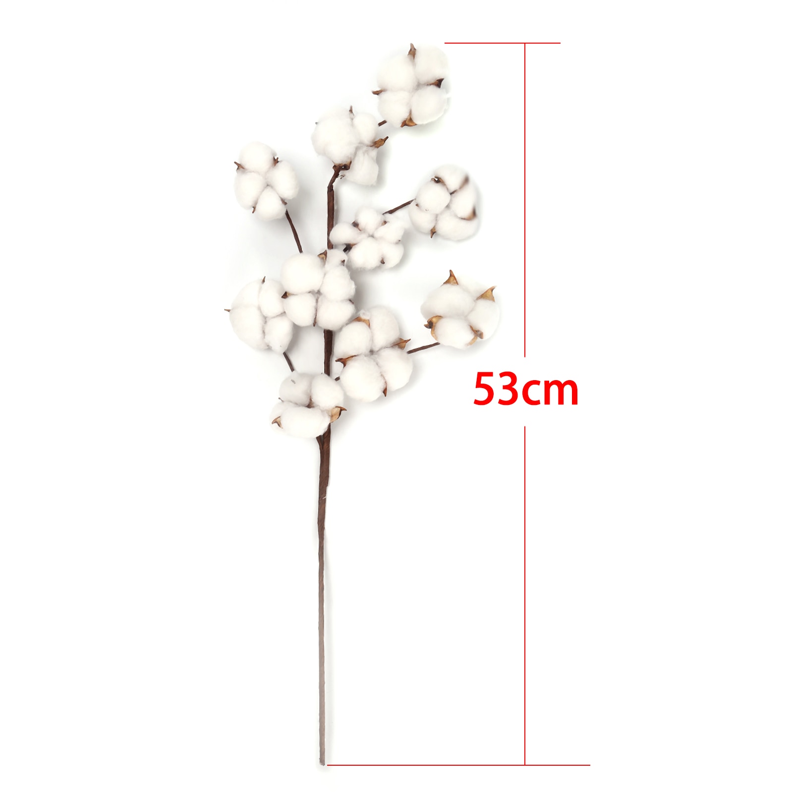 Naturally Dried Cotton Stem Home Ornament Naturally Dried Cotton Stem Home Ornament