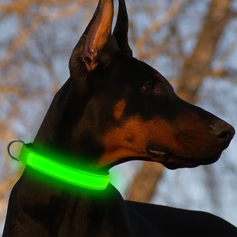 Night Safety Pet LED Collar with Batteries Night Safety Pet LED Collar with Batteries