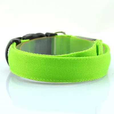 Night Safety Pet LED Collar with Batteries