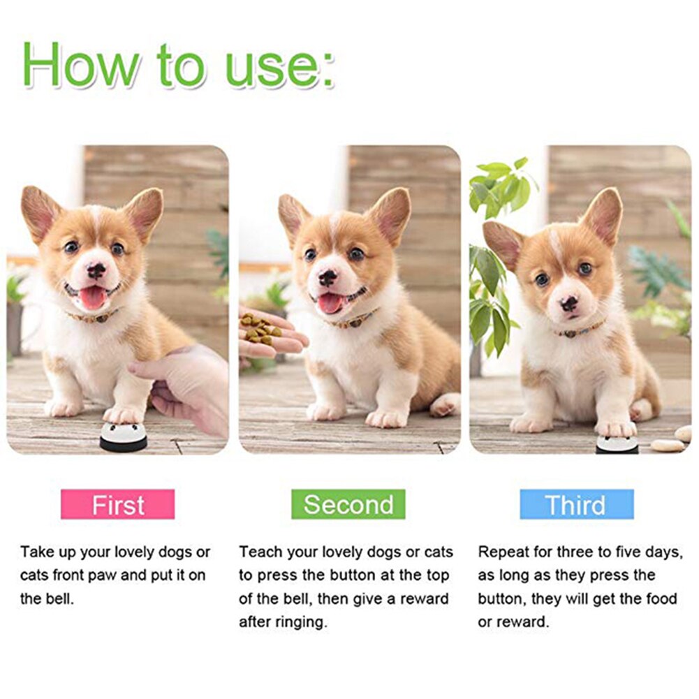 Non Slip Pet Training Bell Non Slip Pet Training Bell