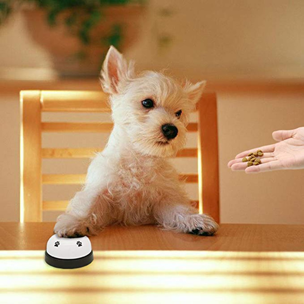 Non Slip Pet Training Bell Non Slip Pet Training Bell