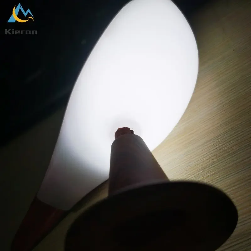 Nordic Modern Magpie Led Desk Light Bedroom Study Bedside Lamp Living Room Decorate Touch Bird Floor Lamps Car
