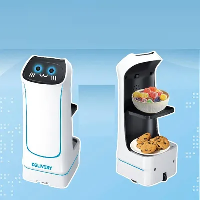 Novel Remote-Controlled Car Toys, Electric Food Delivery Robots, Small Item Transportation Games Funny Surprisest