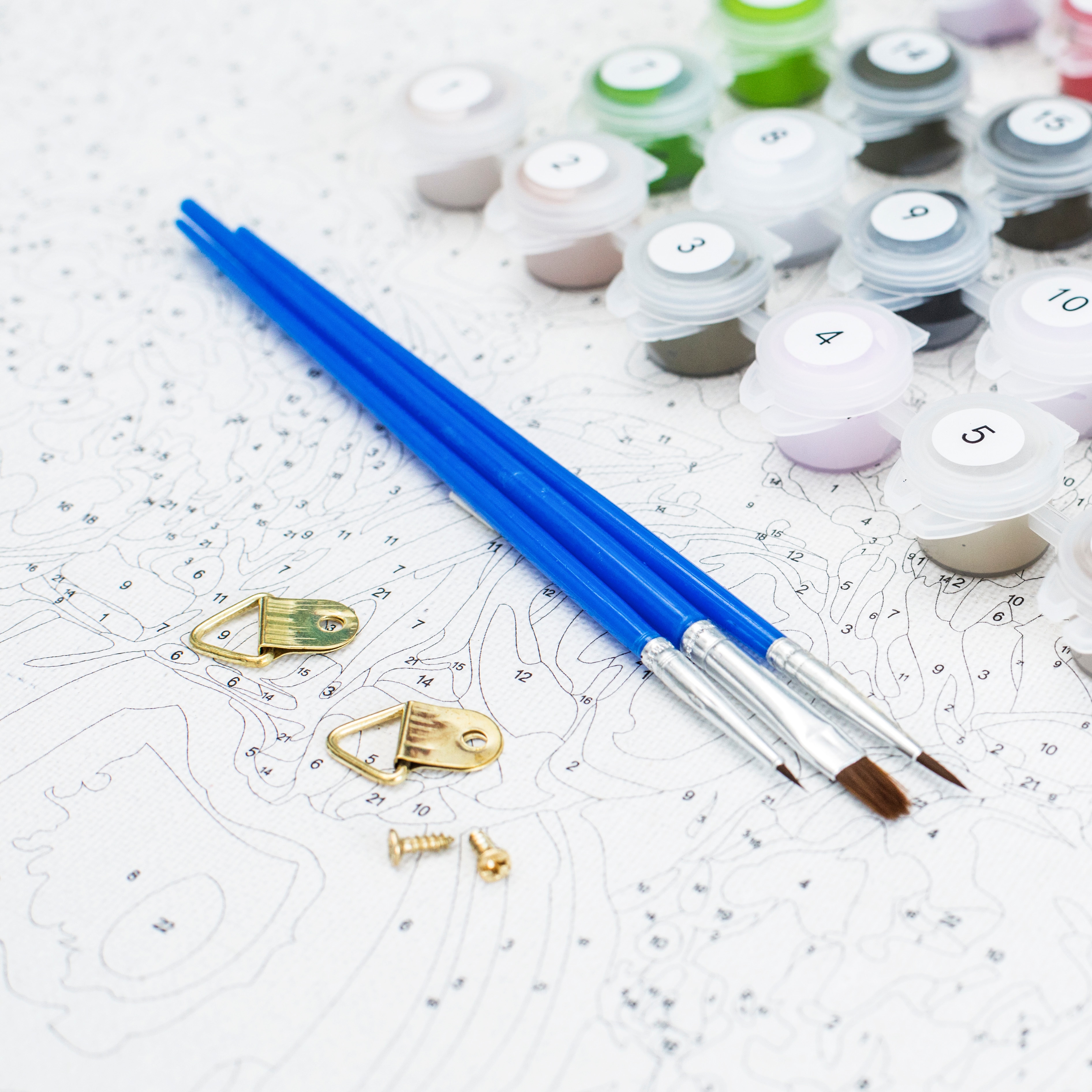 Number Painting Kit Acrylic Art Set Number Painting Kit Acrylic Art Set