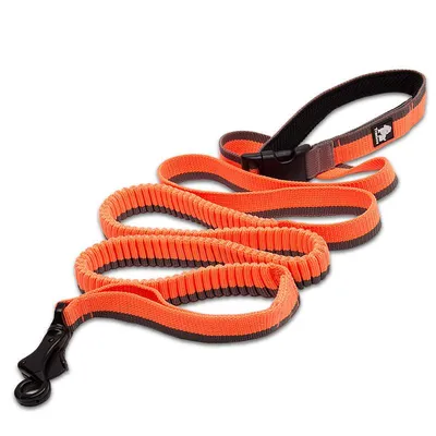 Nylon Bungee Elastic Dog Leash Nylon Bungee Elastic Dog Leash