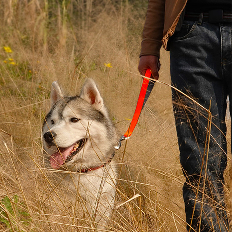 Nylon Rope Dog Leash with Spring Nylon Rope Dog Leash with Spring
